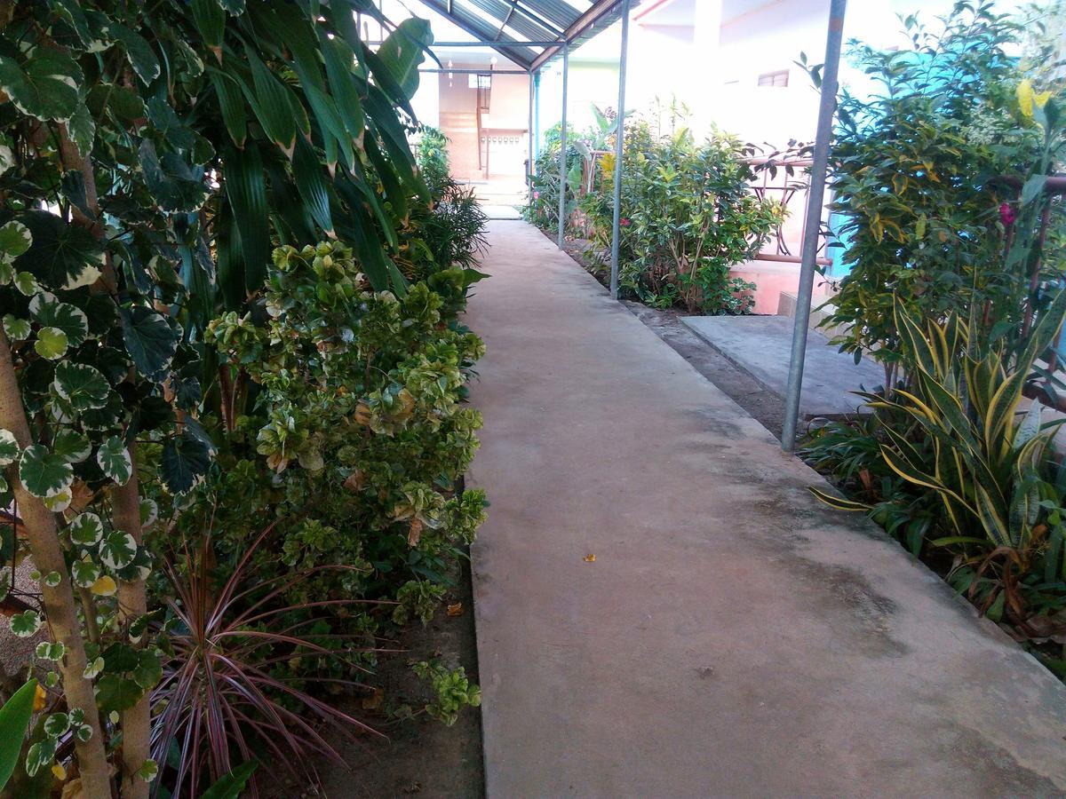 Peace Pool Resort Khun Han エクステリア 写真